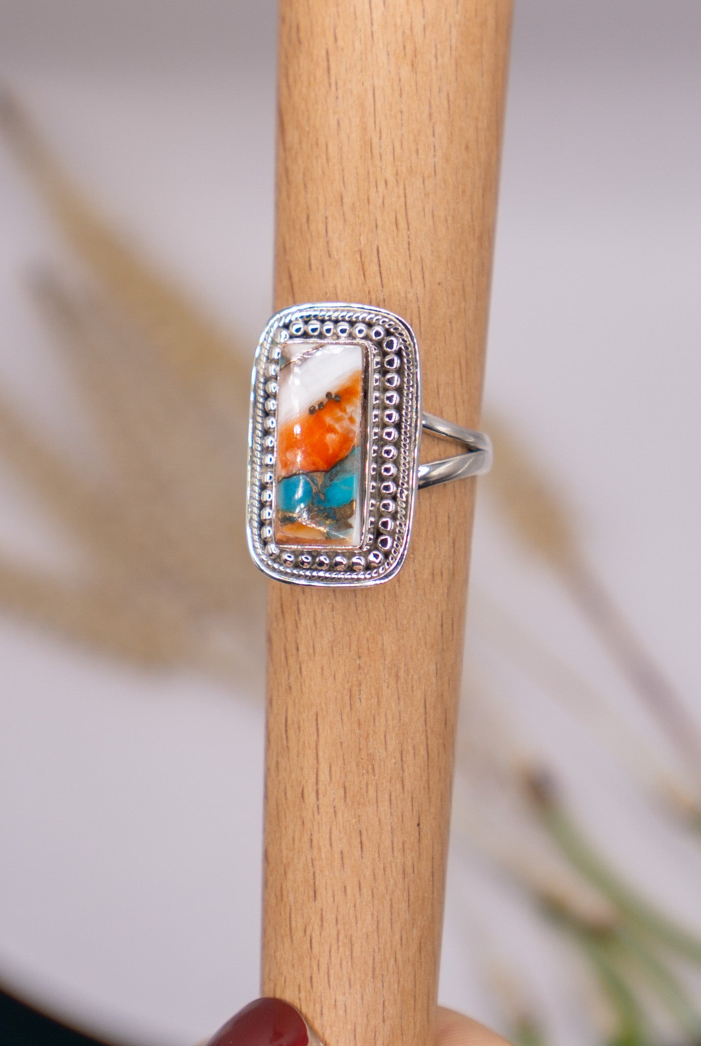 Rectangular Spiny Oyster Size 10