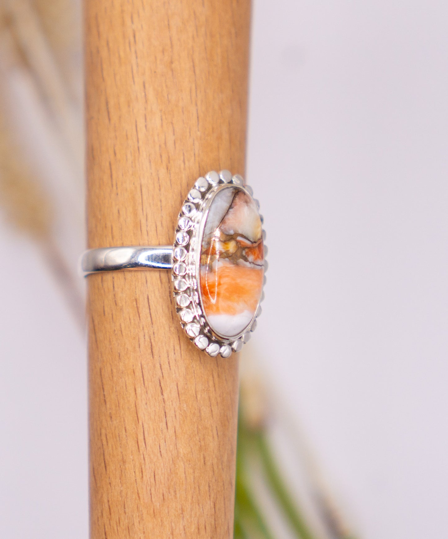 Elongated Oval Spiny Oyster Turquoise Size 11.5