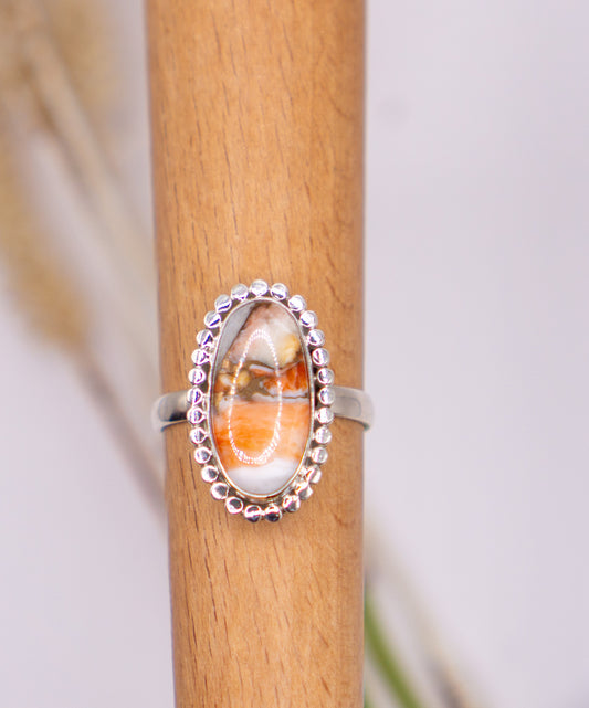 Elongated Oval Spiny Oyster Turquoise Size 11.5