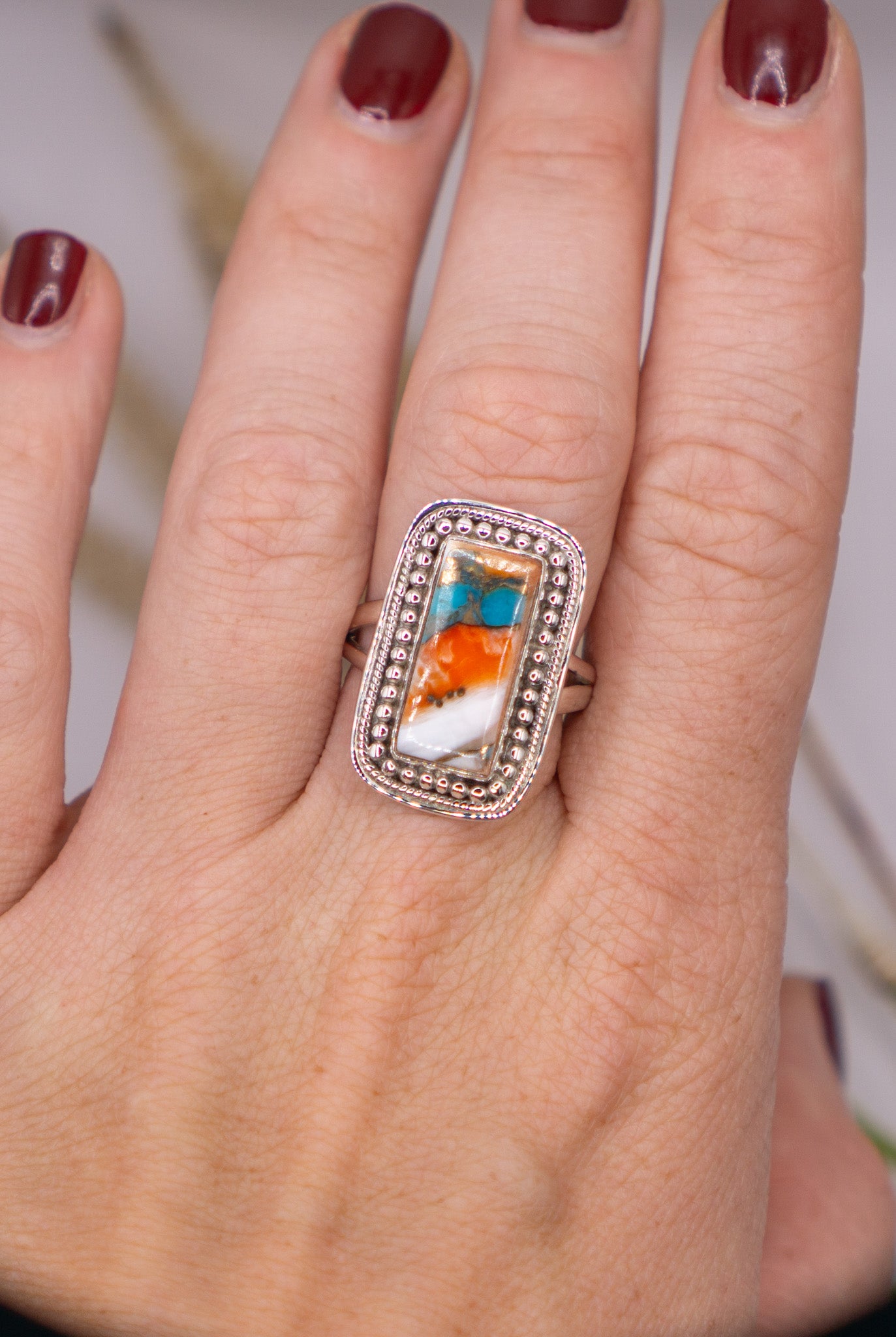 Rectangular Spiny Oyster Size 10