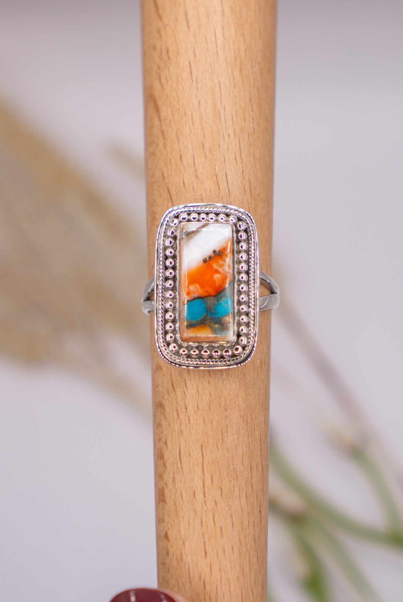 Rectangular Spiny Oyster Size 10