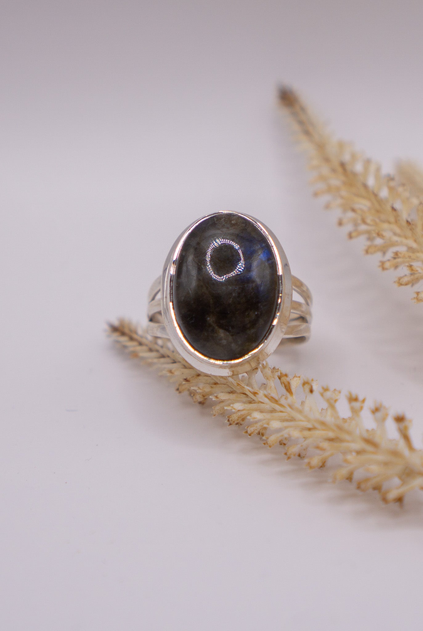 Large Oval Labradorite Size 9.5