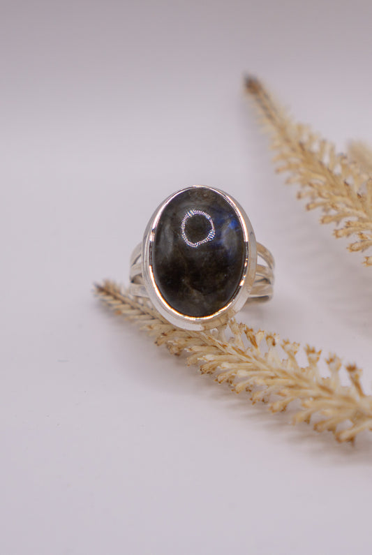 Large Oval Labradorite Size 9.5