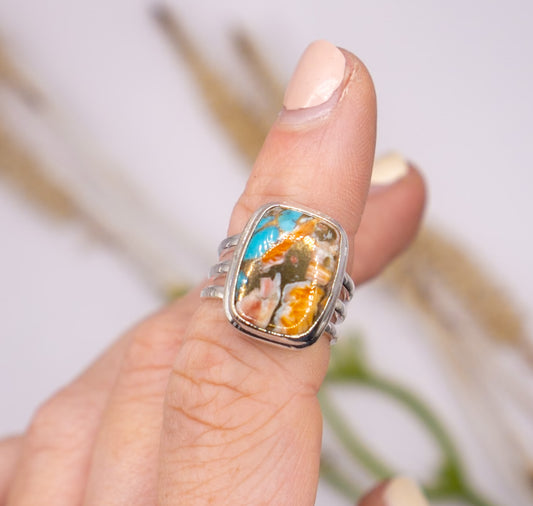 Vibrant Spiny Oyster - Size 5.5