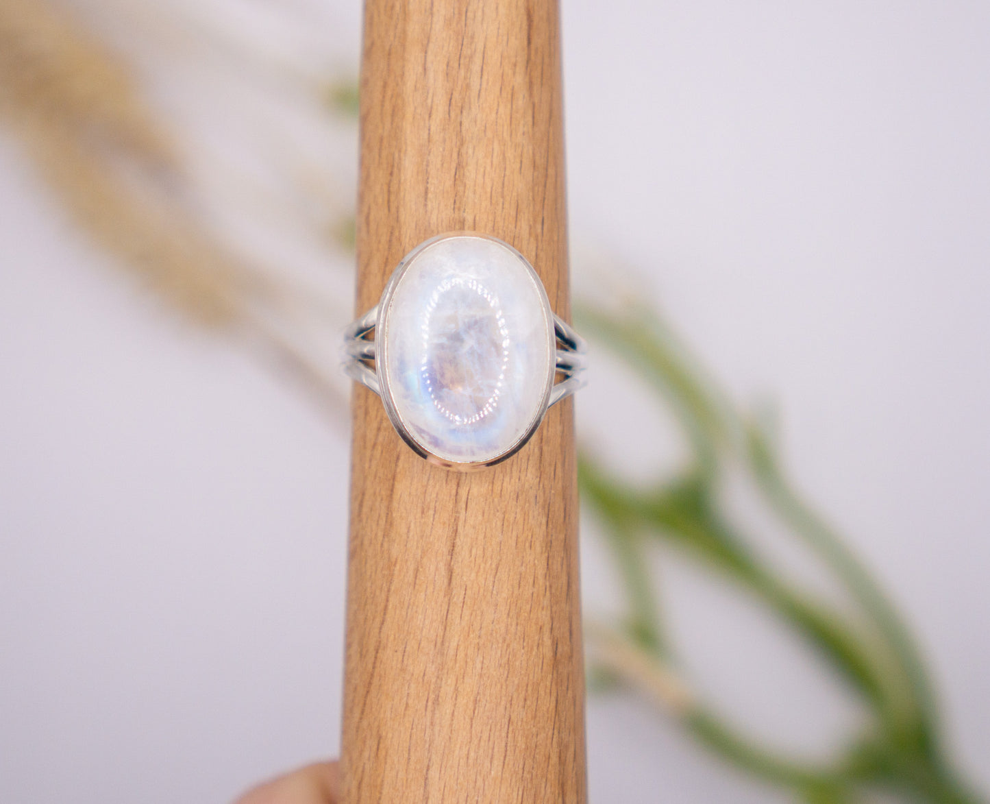 Ethereal Oval Moonstone - Size 9