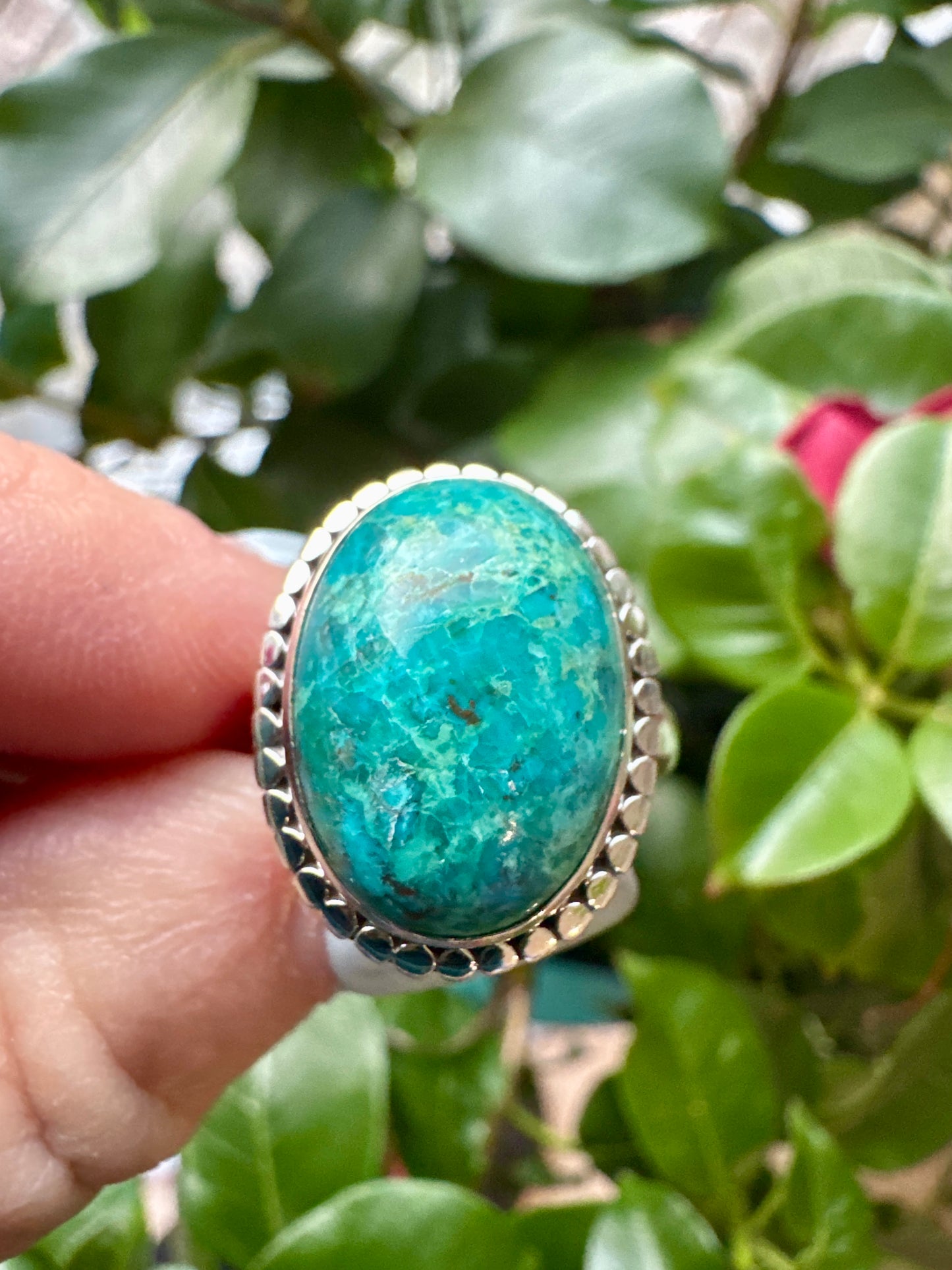 Vibrant Oval Chrysocolla Size 10